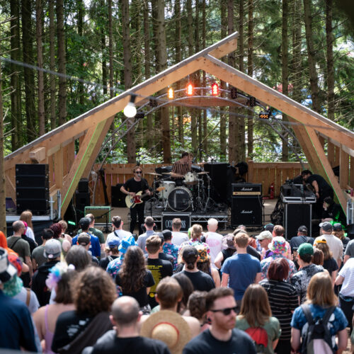 2000trees performances with crowds